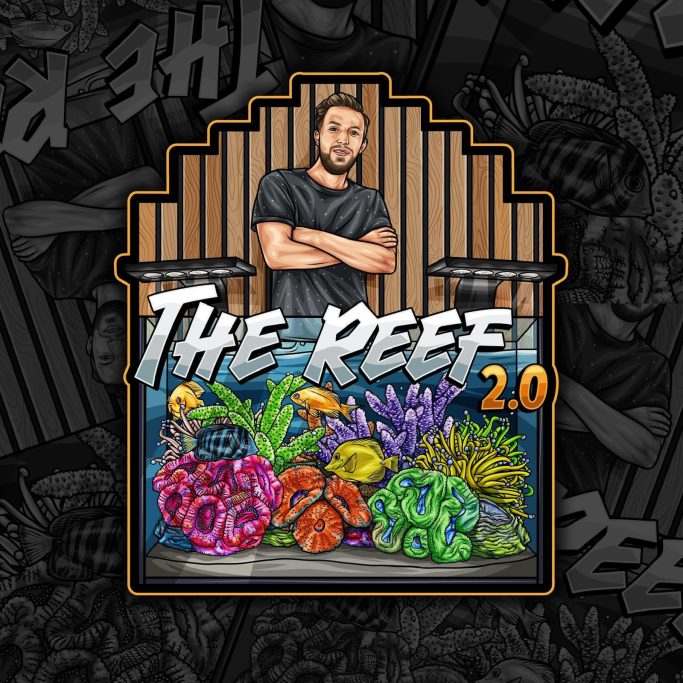 The Reef 2.0