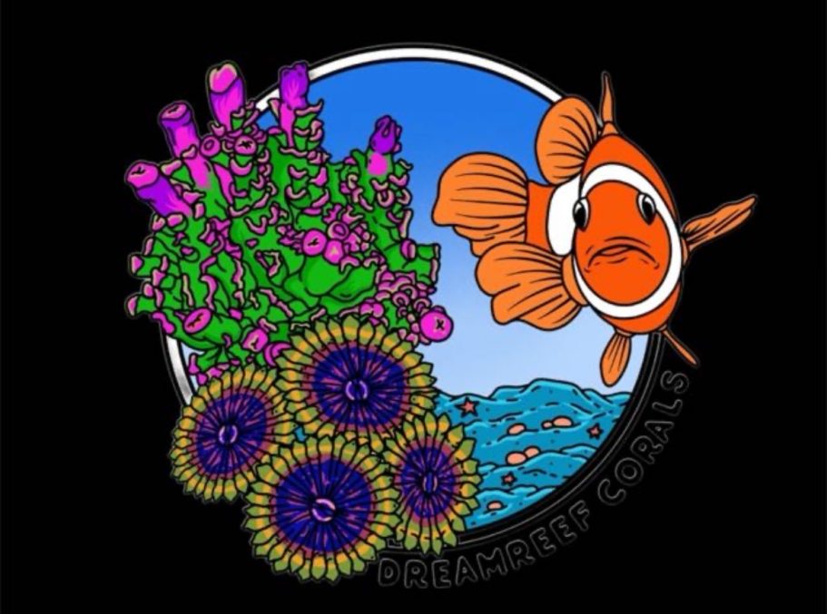 LINK DREAM REFF CORALS